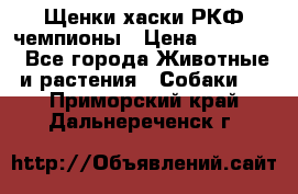 Щенки хаски РКФ чемпионы › Цена ­ 90 000 - Все города Животные и растения » Собаки   . Приморский край,Дальнереченск г.